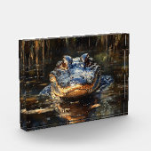 フロリダエバーグレーズの可愛いアニ絵を描ゲーター フォトブロック (左)