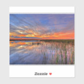 フロリダエバーグレーズ シール (シート)