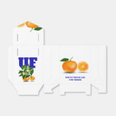 フロリダオレンジのビーフボックス フェイバーボックス (折り畳みなし)