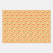 フロリダオレンジスライスジュースグラスOJ柑橘系フルーツ ラッピングペーパーシート (正面3)