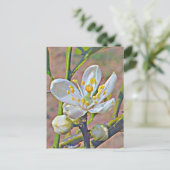 フロリダオレンジブロッサム ポストカード (スタンド正面)