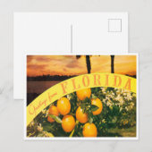 フロリダオレンジヴィンテージ旅行からの挨拶 ポストカード (正面/裏面)