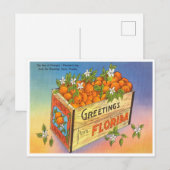フロリダオレンジヴィンテージ旅行からの挨拶 ポストカード (正面/裏面)