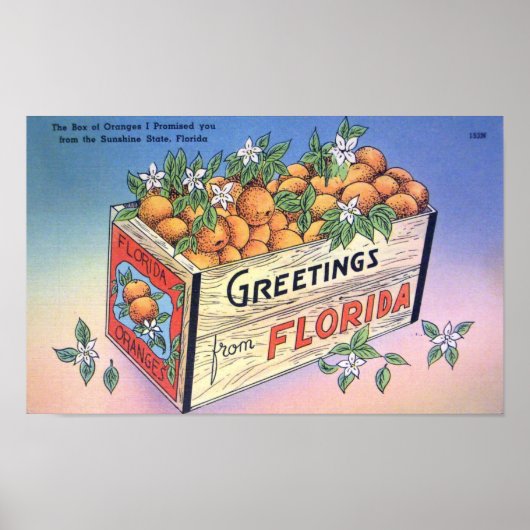 フロリダオレンジ旅行からのヴィンテージの挨拶 ポスター (正面)