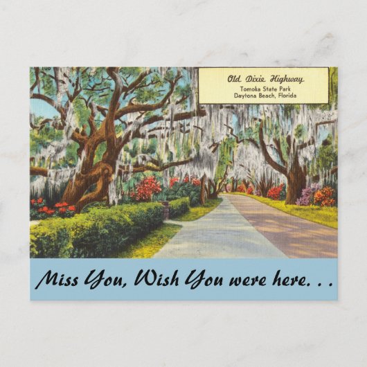 フロリダオールドディキシーハイウェイデイトナビーチ ポストカード (正面)