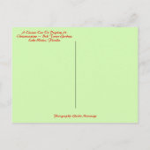 フロリダカーボックタワーからクラシックのメリークリスマス ポストカード (裏面)