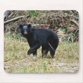 フロリダクロクマ マウスパッド