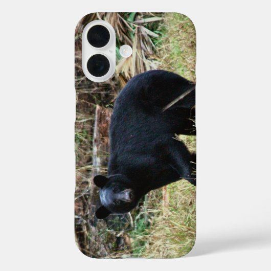 フロリダクロクマ Case-Mate iPhoneケース (裏面)