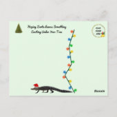 フロリダゲータークリスマスツリー ポストカード (裏面)