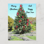 フロリダゲータークリスマスツリー ポストカード (正面)