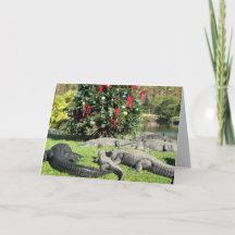 フロリダゲータークリスマス