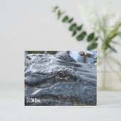 フロリダゲーターポストカード ポストカード (スタンド正面)