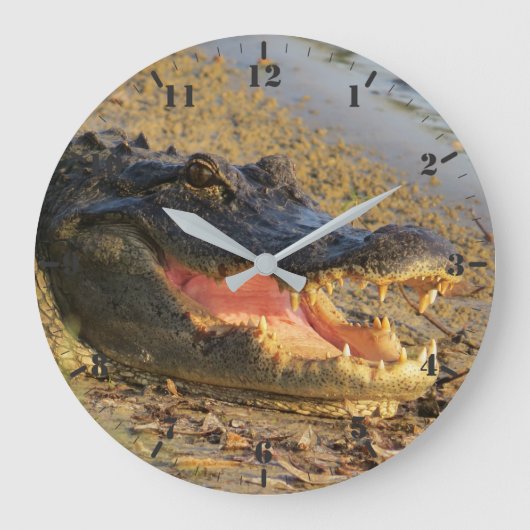 フロリダゲーターポートレート ラージ壁時計 (正面)