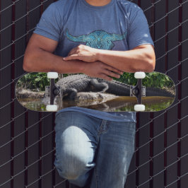 フロリダゲーター – アメリカアリゲータースケートボード スケートボード