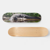 フロリダゲーター – アメリカアリゲータースケートボード スケートボード (横)