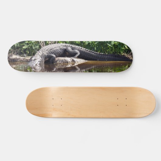 フロリダゲーター – アメリカアリゲータースケートボード スケートボード (横)