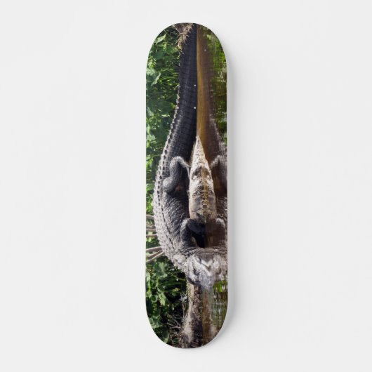 フロリダゲーター – アメリカアリゲータースケートボード スケートボード (正面)
