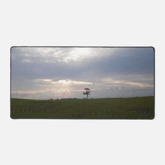 フロリダサンシャインオンローンパイン自然写真 デスクマット (正面)