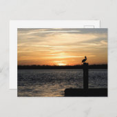 フロリダサンセットとペリカン ポストカード (正面/裏面)