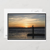 フロリダサンセットとペリカン ポストカード (正面/裏面)