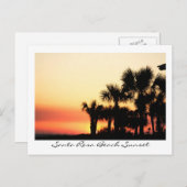 フロリダサンセットサンタローザビーチパームツリーズ ポストカード (正面/裏面)
