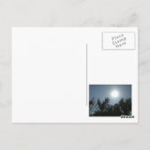 フロリダサンセット – はがき (裏面)