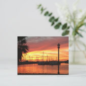 フロリダサンセット ポストカード (スタンド正面)