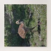 フロリダサンドヒルクレーン少年ベビーバード写真 ジグソーパズル (縦)