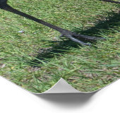 フロリダサンドヒルクレーン歩くイングリーンフィールド ポスター (角)