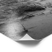 フロリダサンド砂丘 フォトプリント            (角)