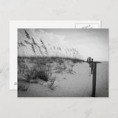 フロリダサンド砂丘 ポストカード (正面/裏面)