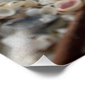 フロリダシェルオンザビーチ フォトプリント            (角)