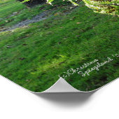 フロリダシダPalm Posterまたはプリント ポスター (角)