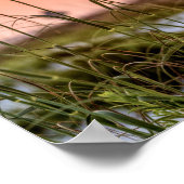 フロリダシーオアツサンライズ ポスター (角)