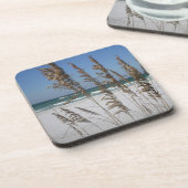 フロリダシーオーツコースターズ コースター (左側)