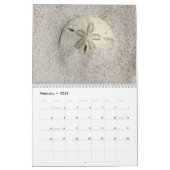 フロリダシーシェル写真カレンダー第2巻 カレンダー (2月 2026)