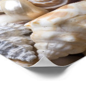 フロリダシーシェル背景 – ビーチシェルカスタム ポスター (角)