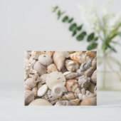 フロリダシーシェル背景 – ビーチシェルカスタム ポストカード (スタンド正面)