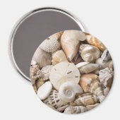 フロリダシーシェル背景 – ビーチシェルカスタム マグネット (正面/裏面)