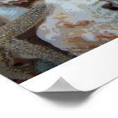 フロリダシーシェル ポスター (角)