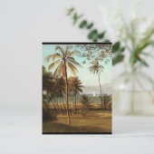 フロリダシーン – アルバートビエルシュタット ポストカード (スタンド正面)