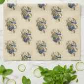 フロリダジェイ(スクラブ – ジェイ)オドゥボンのアメリカの鳥 キッチンタオル (折り畳み)