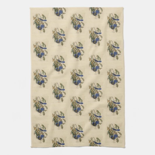 フロリダジェイ(スクラブ – ジェイ)オドゥボンのアメリカの鳥 キッチンタオル (縦)