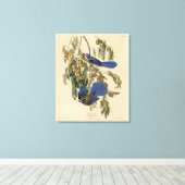 フロリダジェイ（スクラブ – ジェイ）オドゥボンのアメリカの鳥 キャンバスプリント (インサイチュ (ウッドフロア))