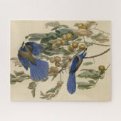 フロリダジェイ（スクラブ – ジェイ）オドゥボンのアメリカの鳥 ジグソーパズル (横)