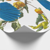 フロリダジェイby John James Audubon ラッピングペーパー (角)