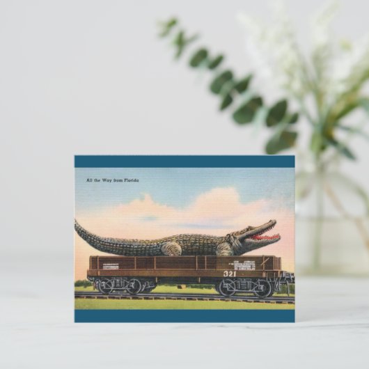 フロリダジャイアントアリゲーターヴィンテージ旅行はがき ポストカード (スタンド正面)