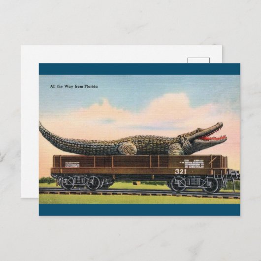 フロリダジャイアントアリゲーターヴィンテージ旅行はがき ポストカード (正面/裏面)