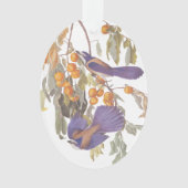 フロリダスクラブジェイAudubonオレンジツリー上の鳥ペア オーナメント (正面)