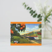 フロリダストリーマー ポストカード (スタンド正面)